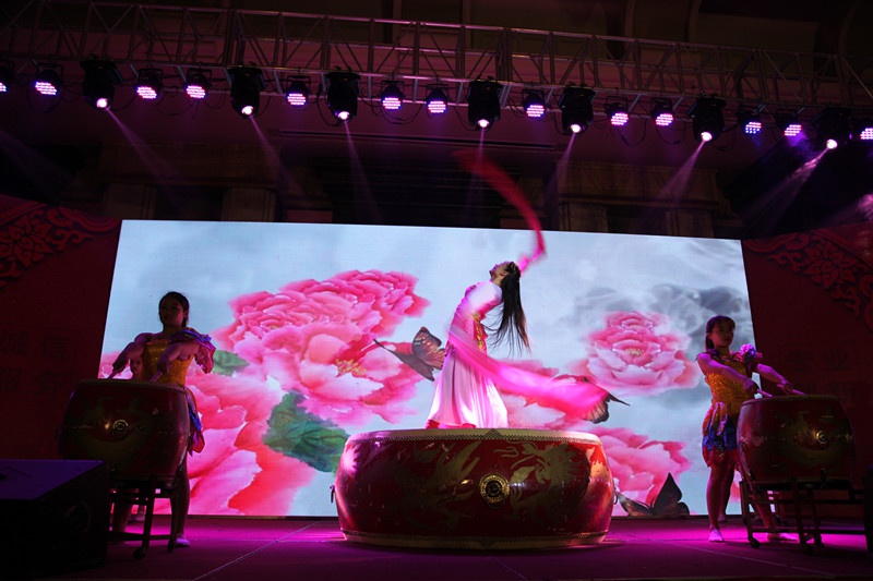 球友会（中国）集团2016年会 